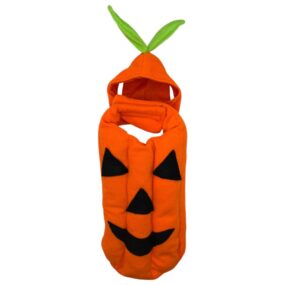 Disfraz Calabaza