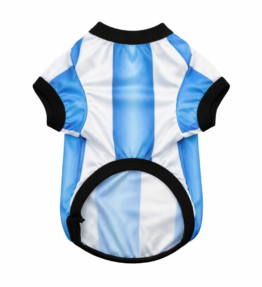 Jersey Argentina